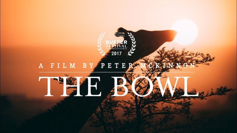 “The Bowl” by Peter McKinnon