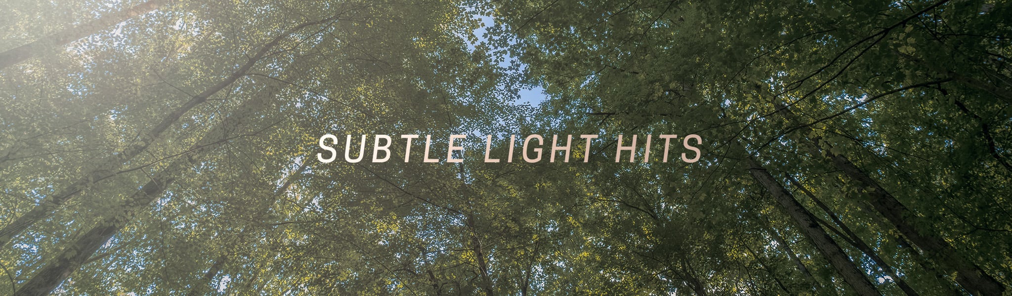 Header image